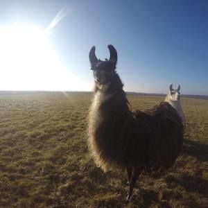 Meet your Posher, Kathleen